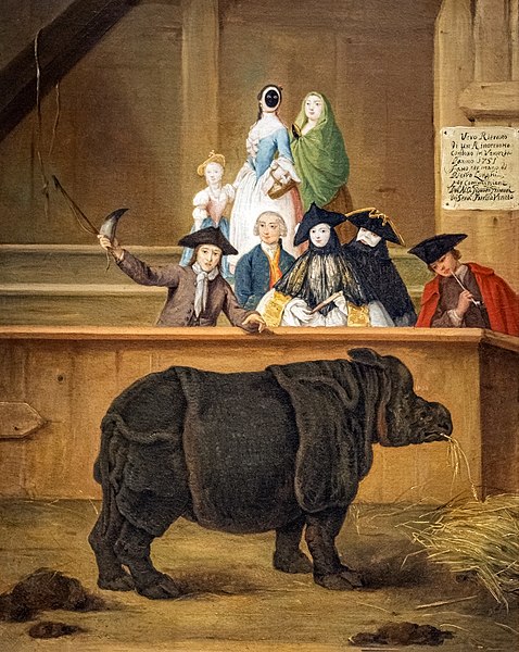 Ca' Rezzonico Il rinoceronte 1751 Pietro Longhi