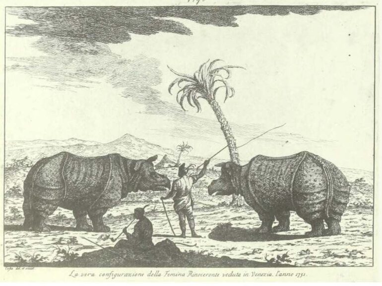 1983 Succi Da Carlevarijs ai Tiepolo Costa Rinoceronti AA