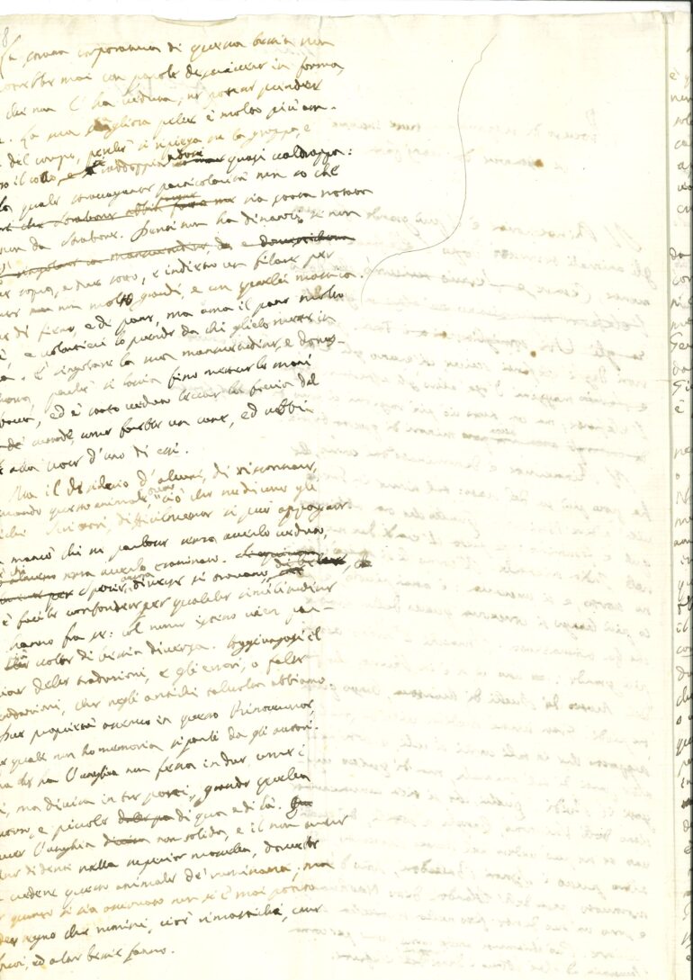 Maffei manuscript BibCapVr DCCCCXLVI III 3