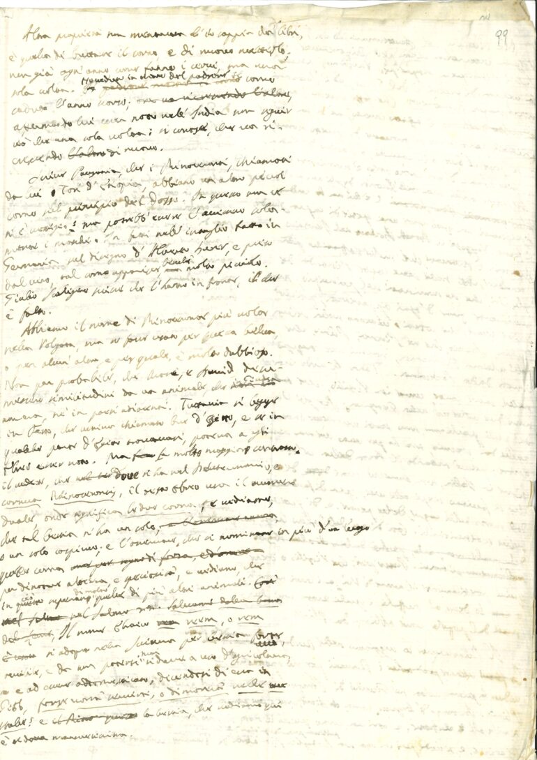Maffei manuscript BibCapVr DCCCCXLVI III 4
