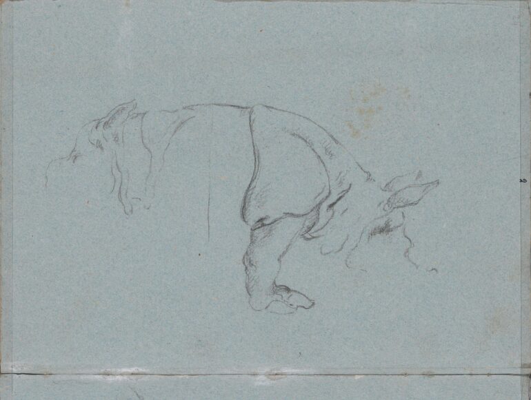 Rijksmuseum RP T 1953 359A 24