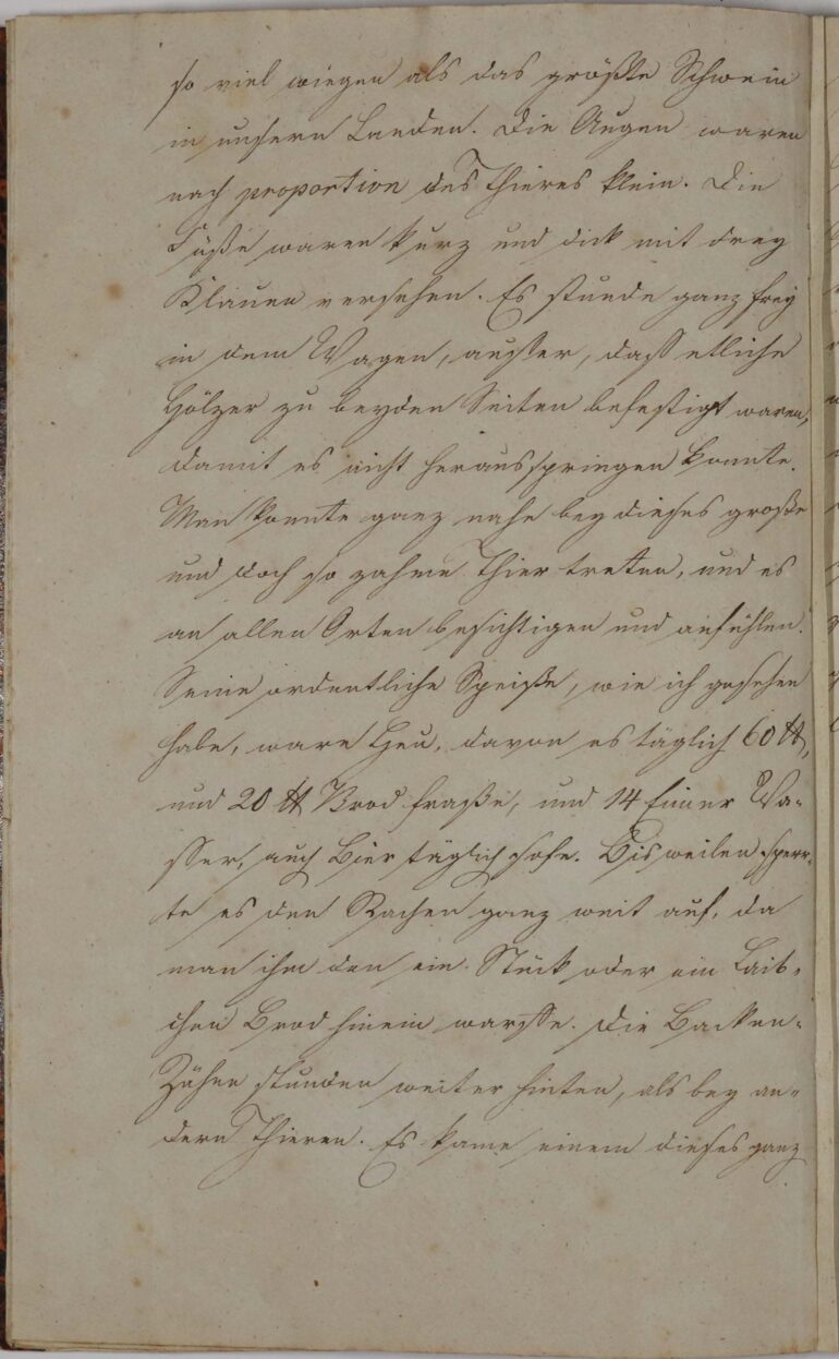 1748 Meiningen Clara 1 7 5