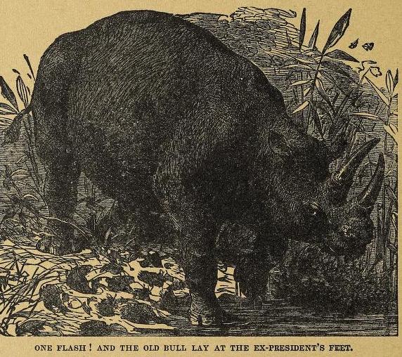 Everett 1909 Keitloa