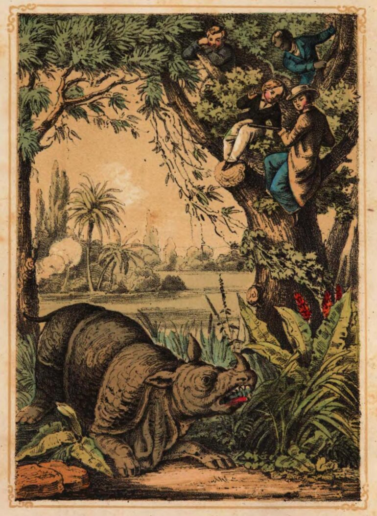 Koerber Sundarbans 1853