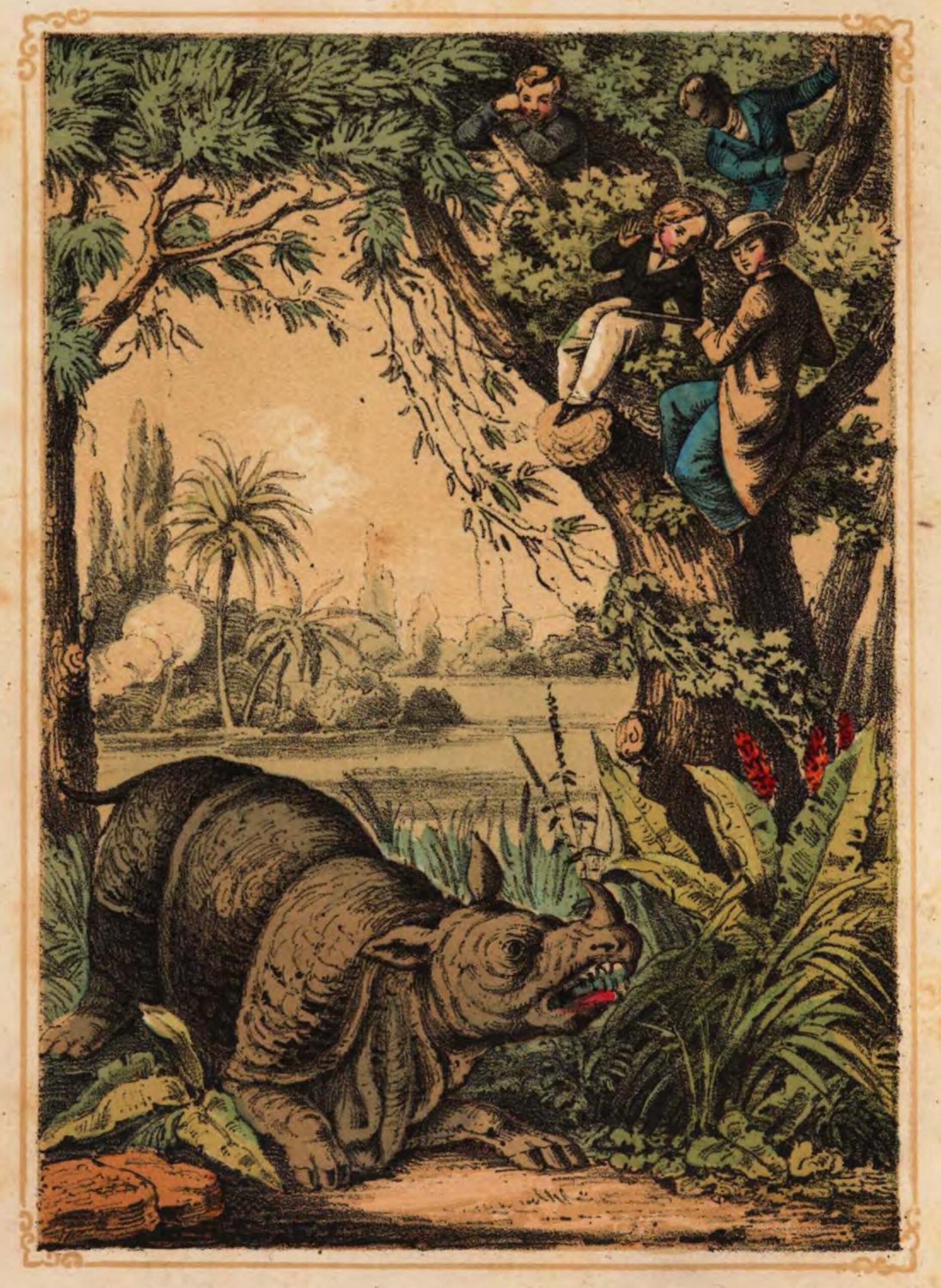 Koerber Sundarbans 1853