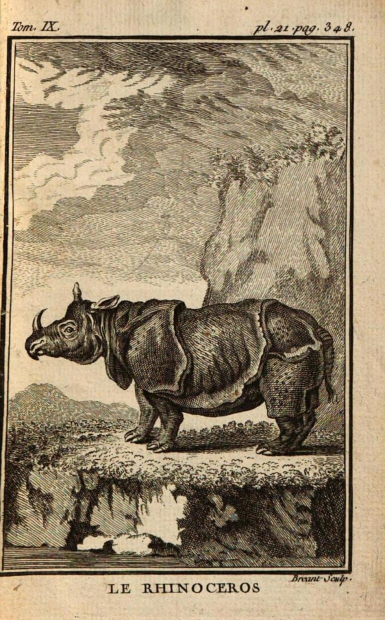 Buffon Rhinoceros by Breant 1769