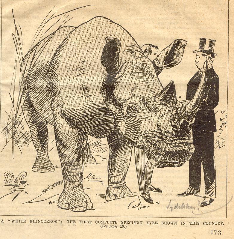 Graphic 1894