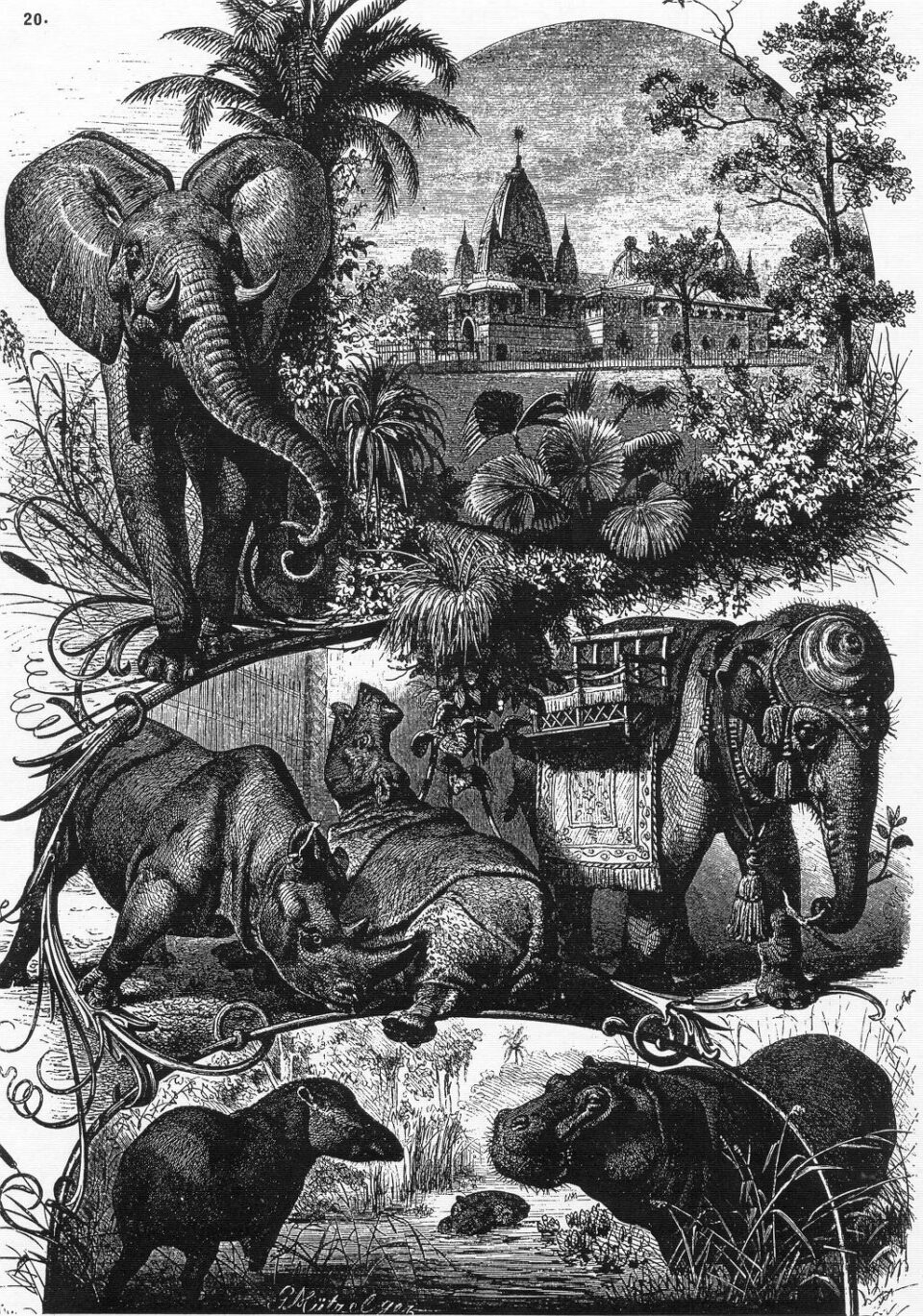 Berlin Zoo 1882