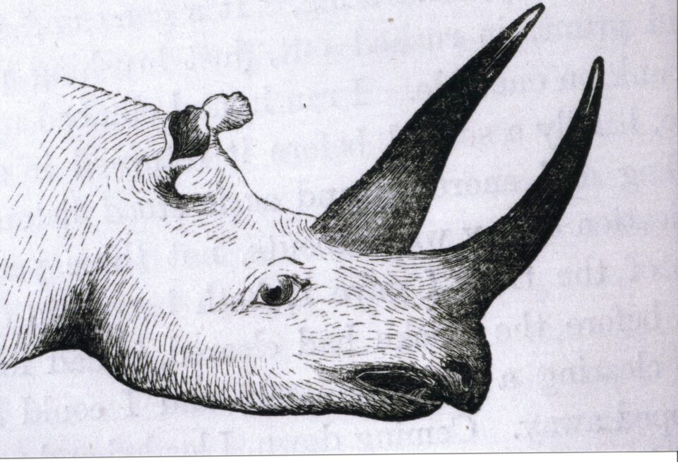 Drummond 1875, p.136