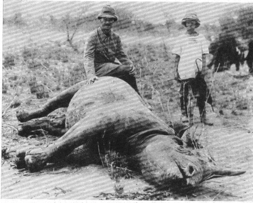 Cameroon 1948