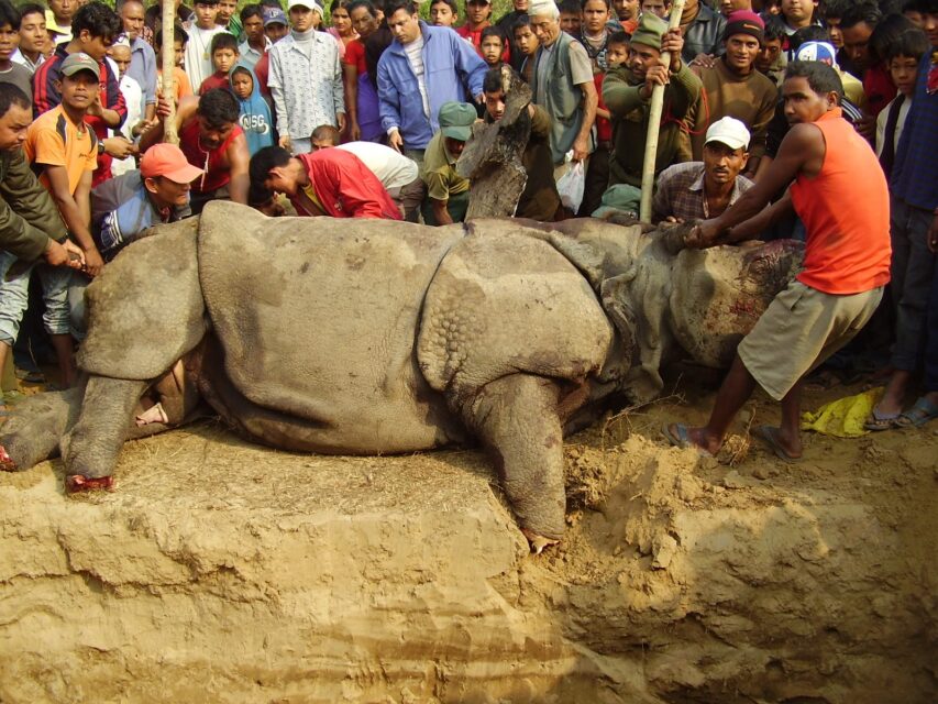 Chitwan 2007