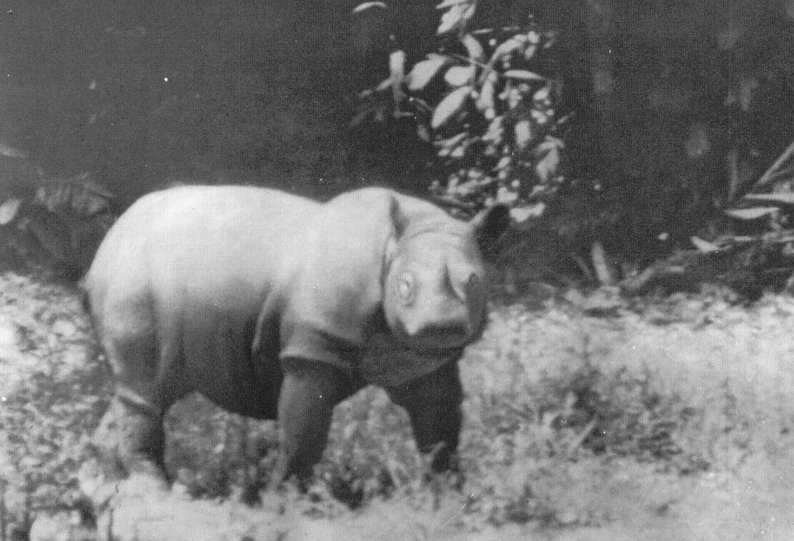 Kertam Malaysia 1939 — Rhino Resource Center