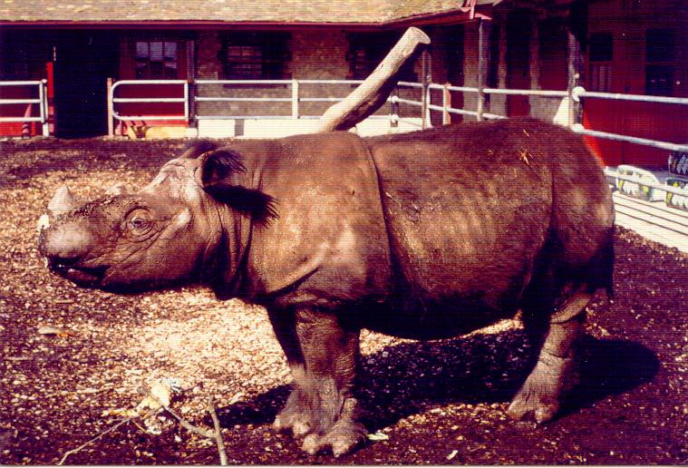 Port Lympne 1986