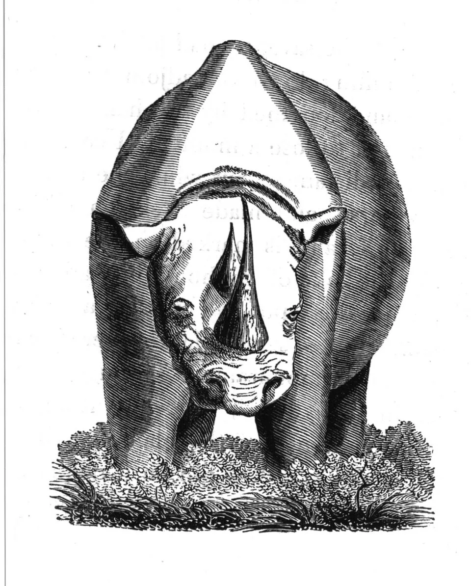 Burchell 1824
