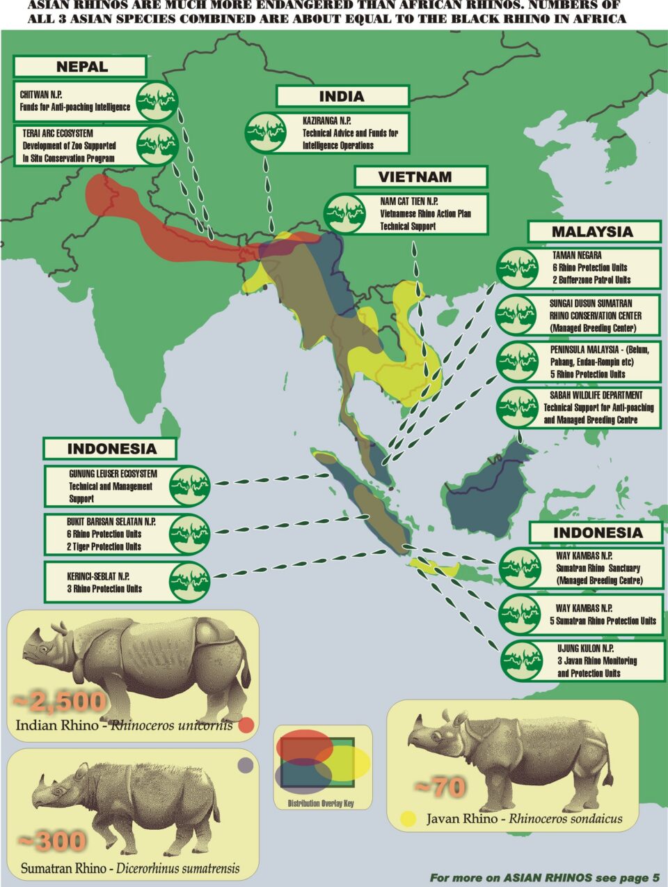 IRF Asia Program Overview