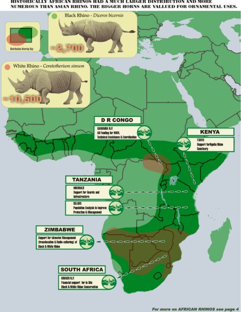 IRF Africa Program Overview