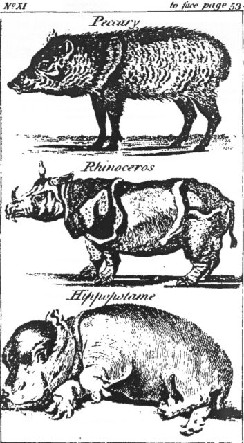 Menagerie 1800