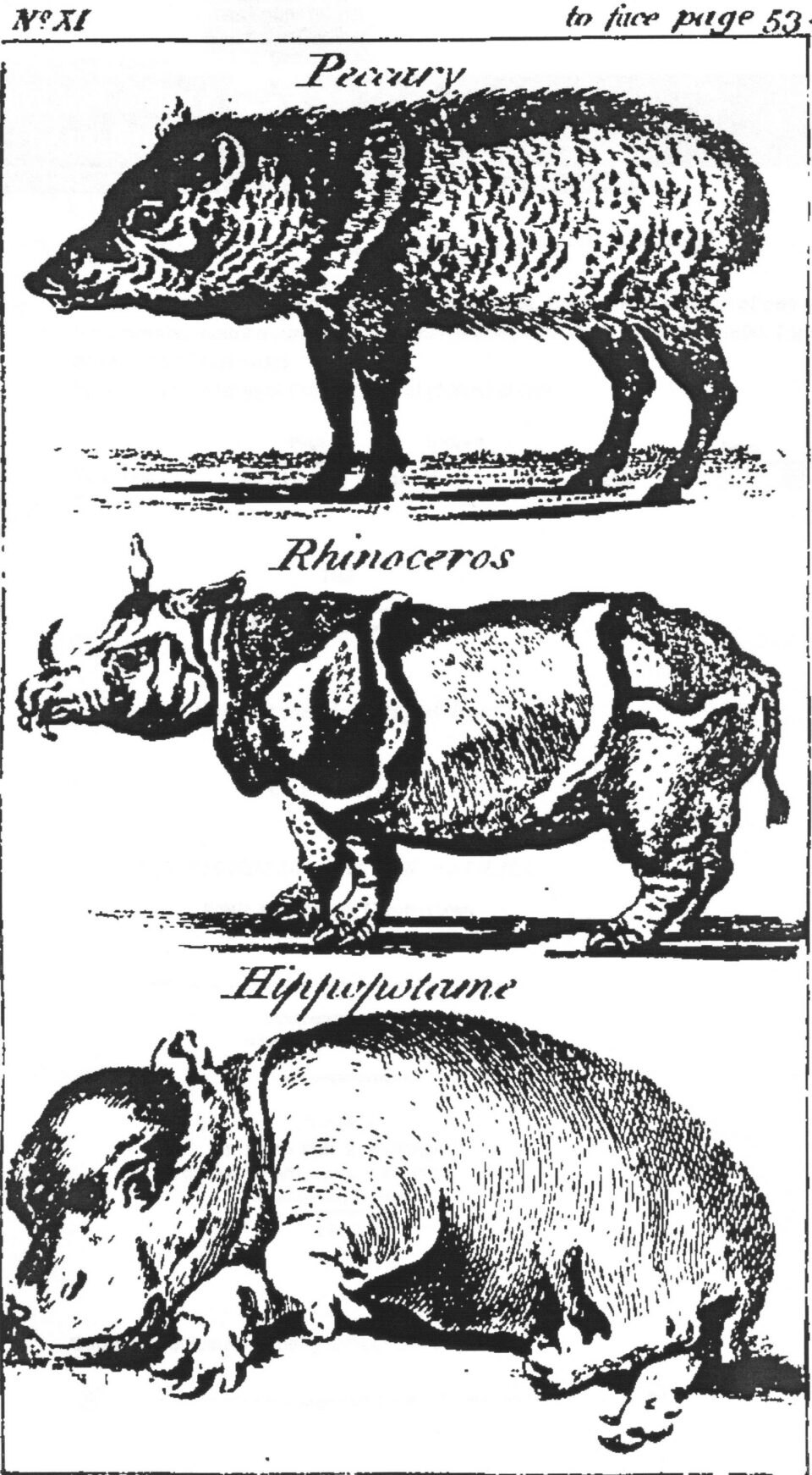 Menagerie 1800