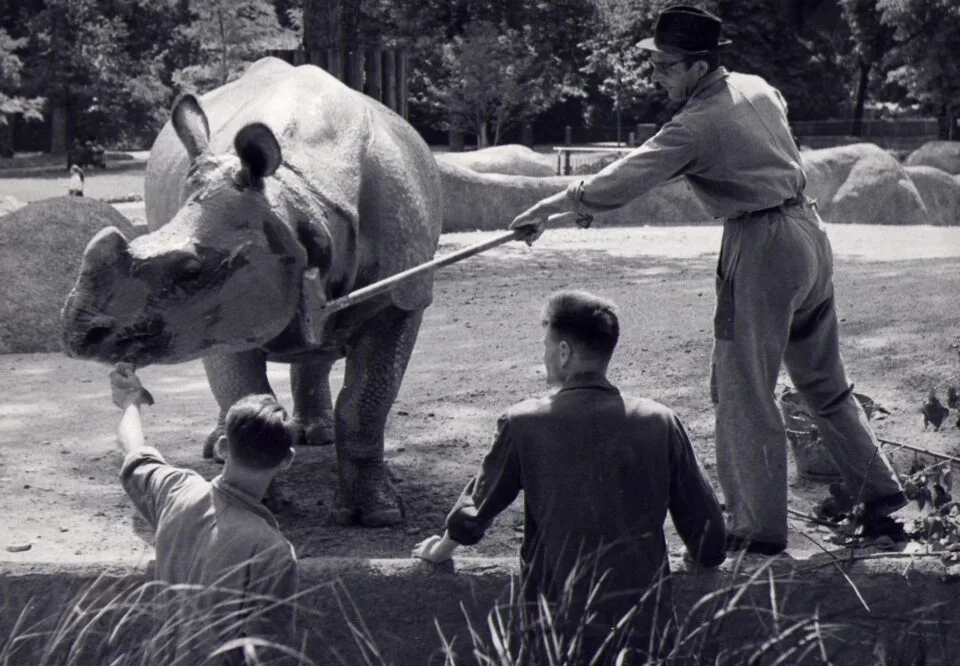 Basel 1953