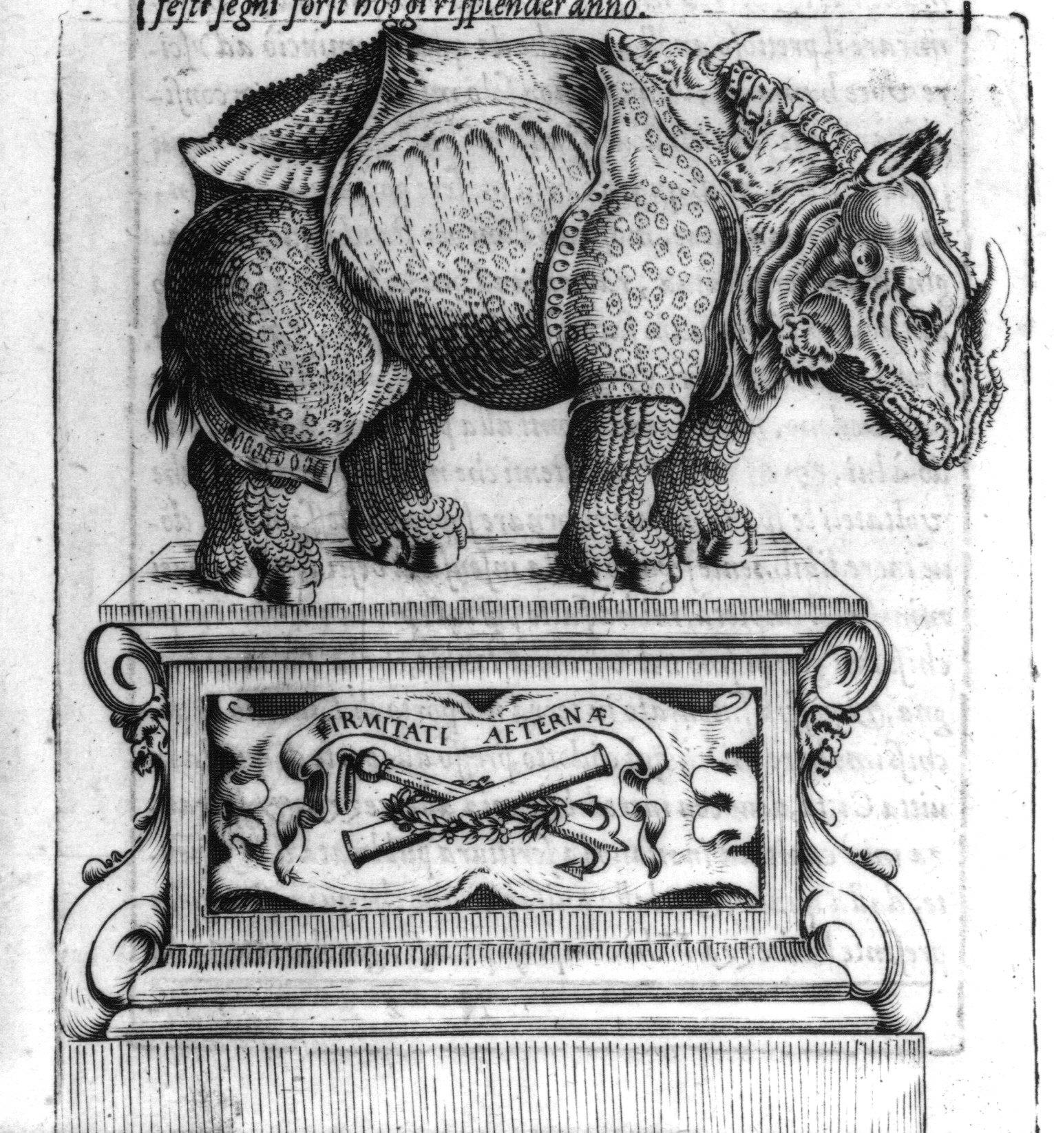 Zoppio 1600 — Rhino Resource Center