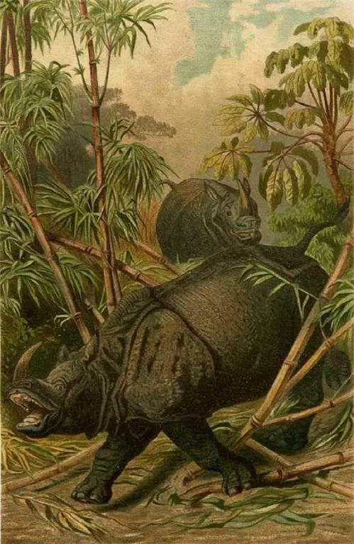 Brehm 1898