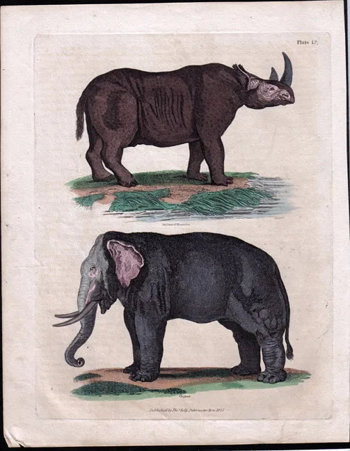 Buffon 1827