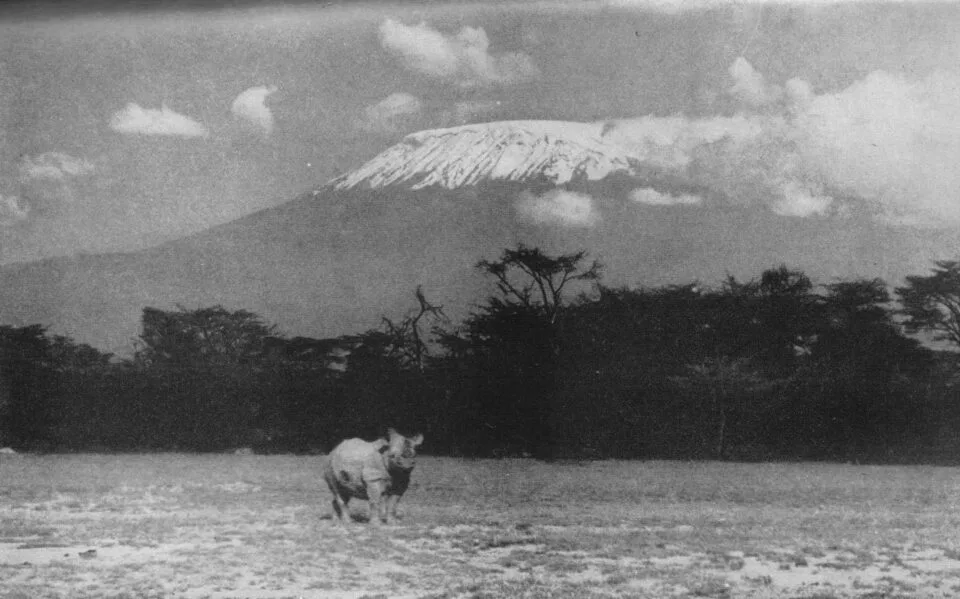 Hunter 1952