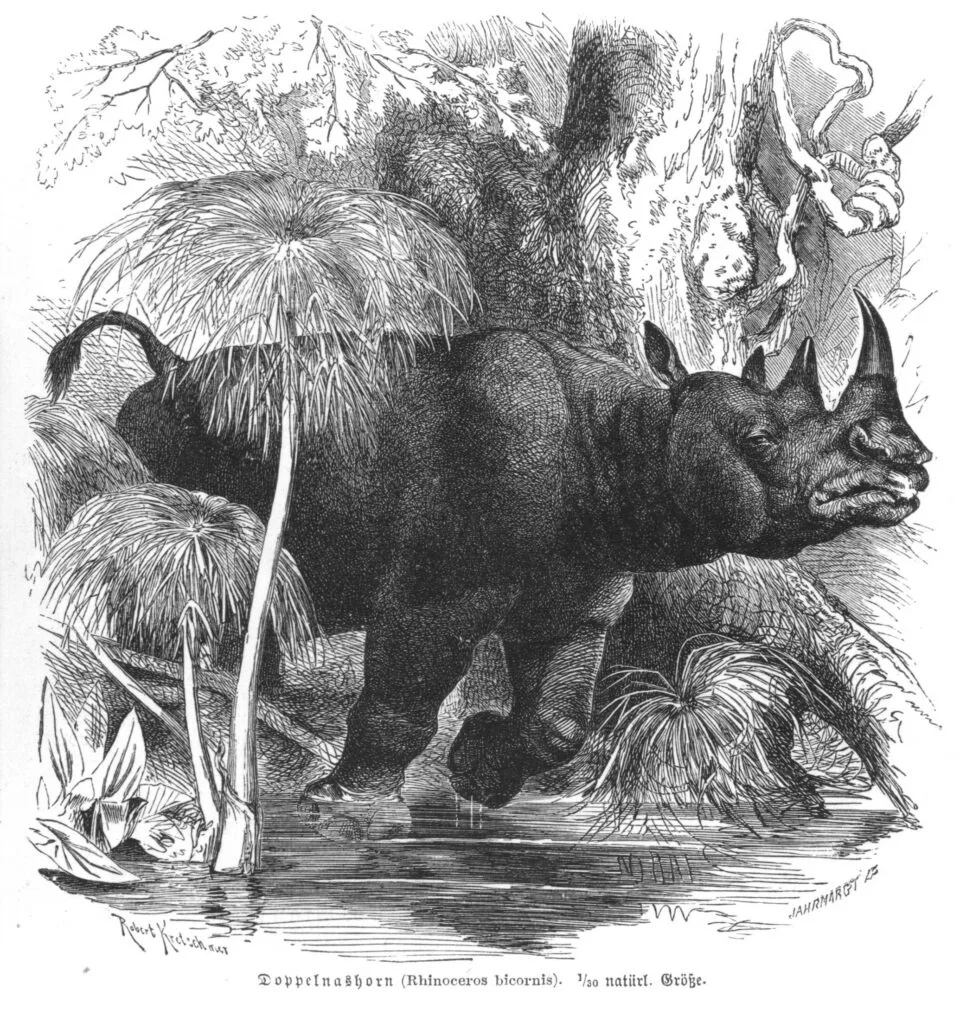 Brehm 1877