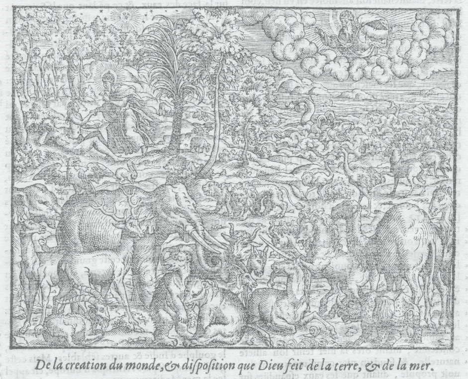 Thevet 1585