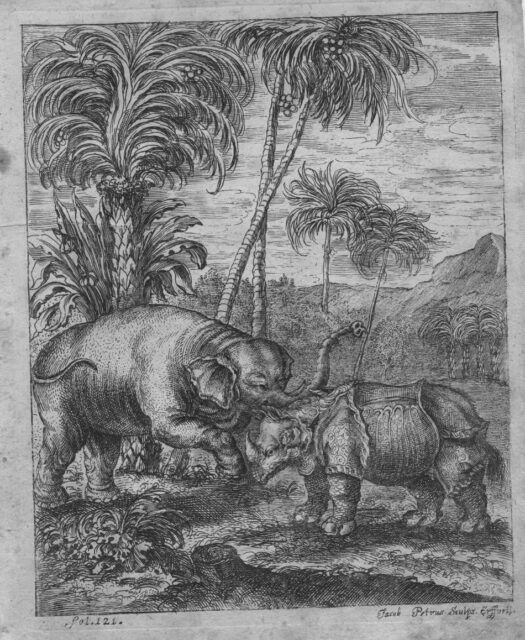 Petri 1723