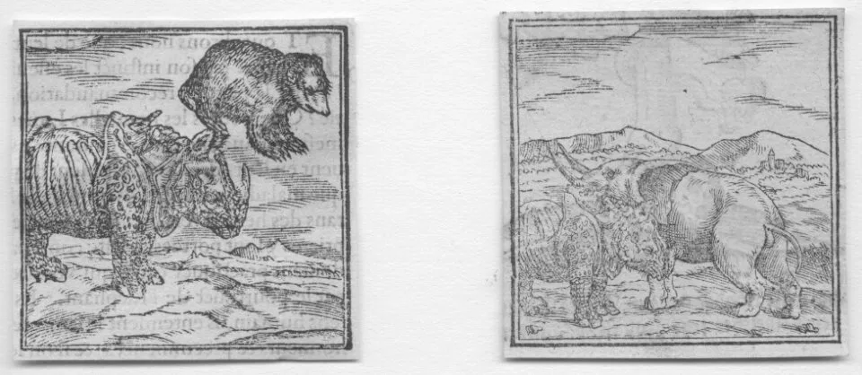 Valerianus 1556