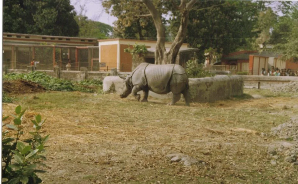 Calcutta 1993