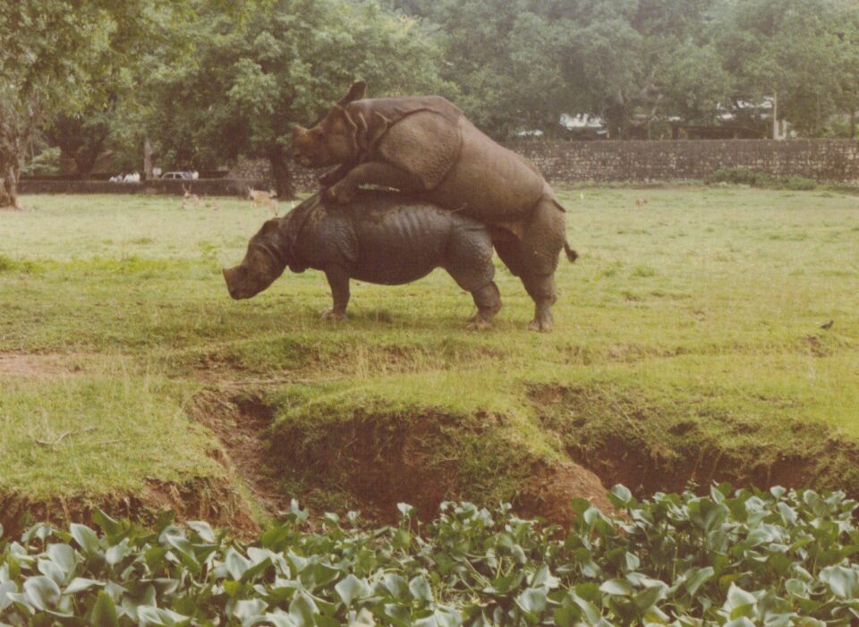 Gauhati Zoo