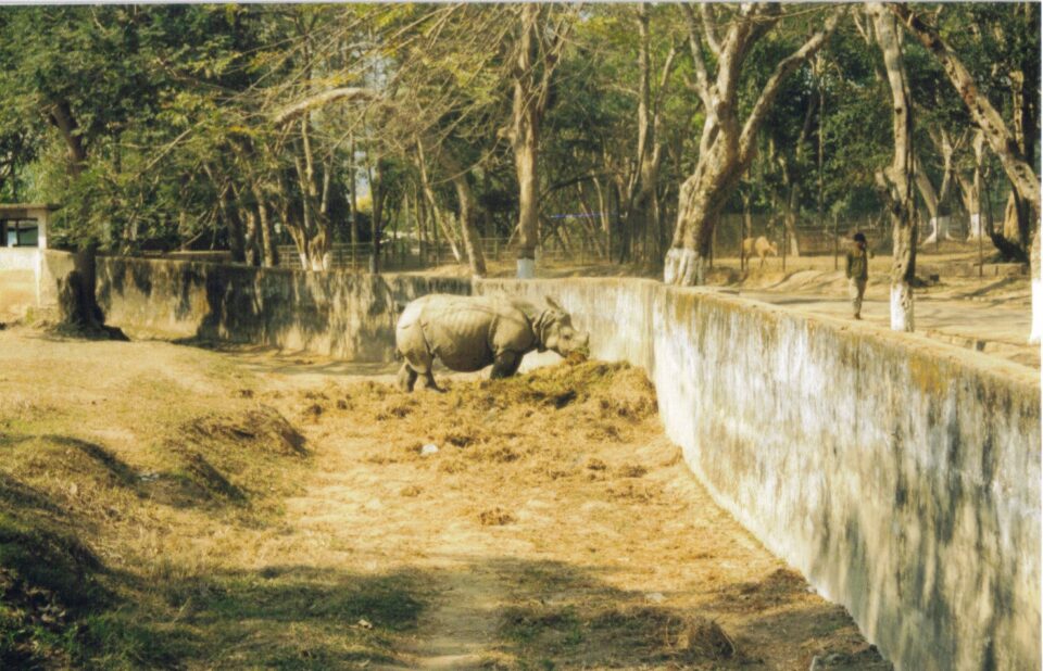 Gauhati 1996
