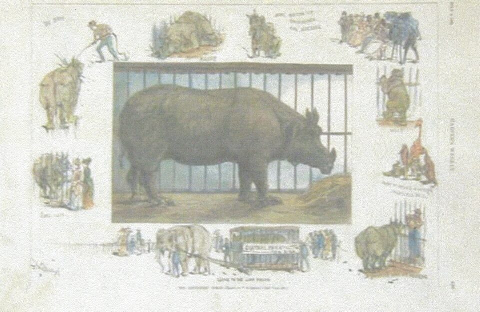 American Circus 1886