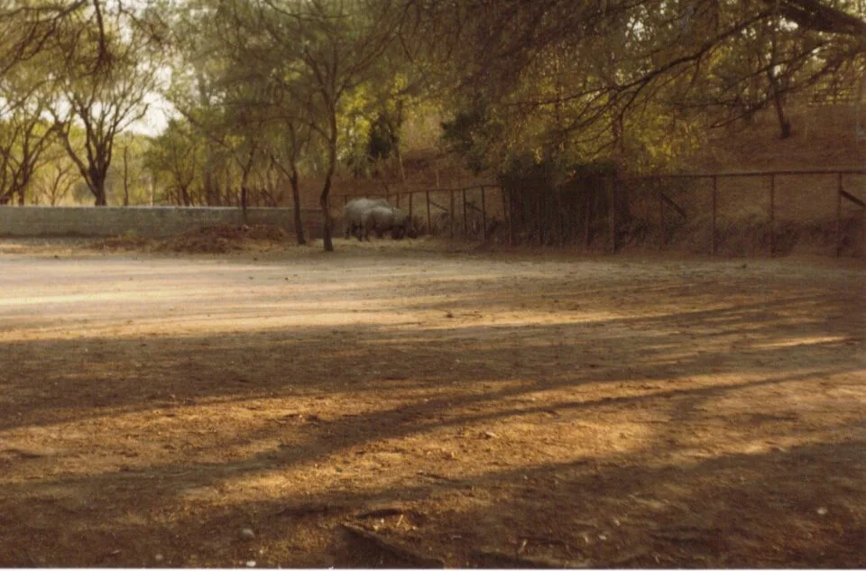 Hyderabad 1980
