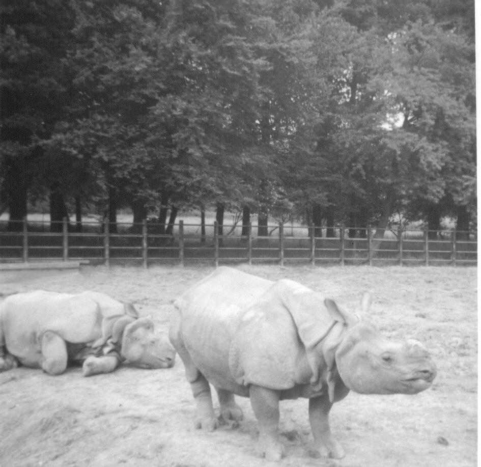 Whipsnade 1968