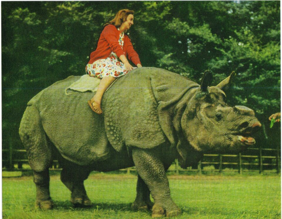 Whipsnade 1953