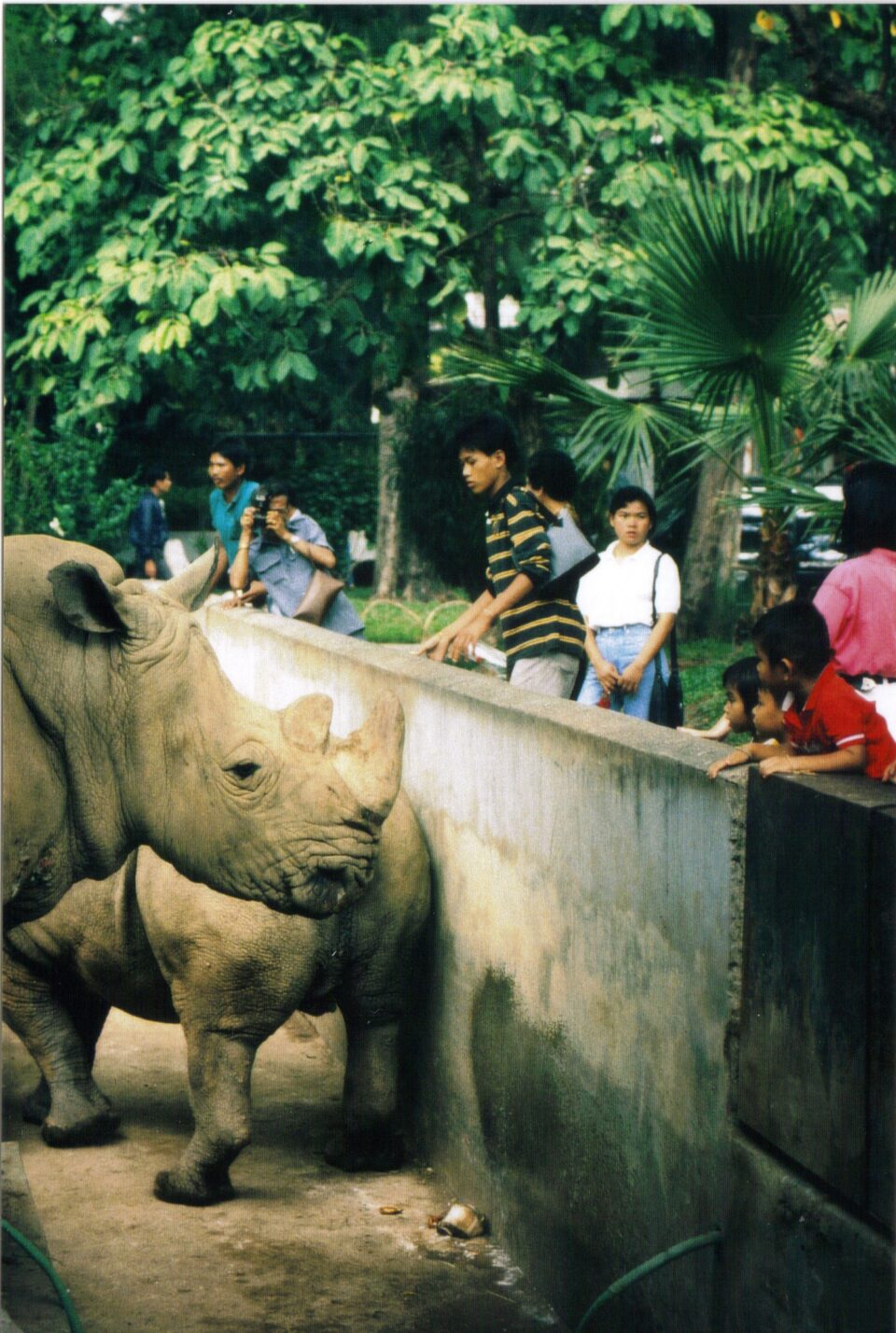 Bangkok 1989