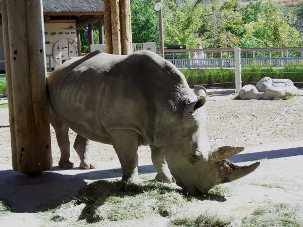 Utah’s Hogle Zoo
