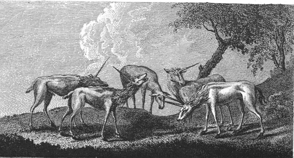 Meyer 1796