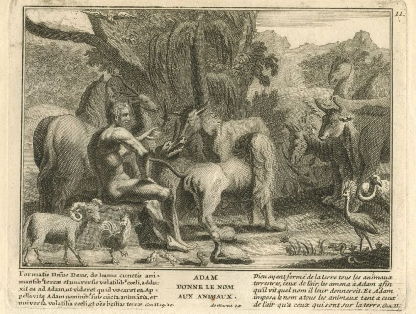 Demarne 1720