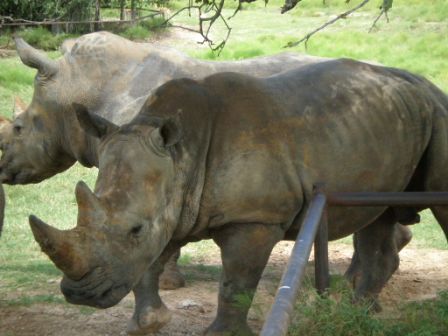 Fossil Rim #1417