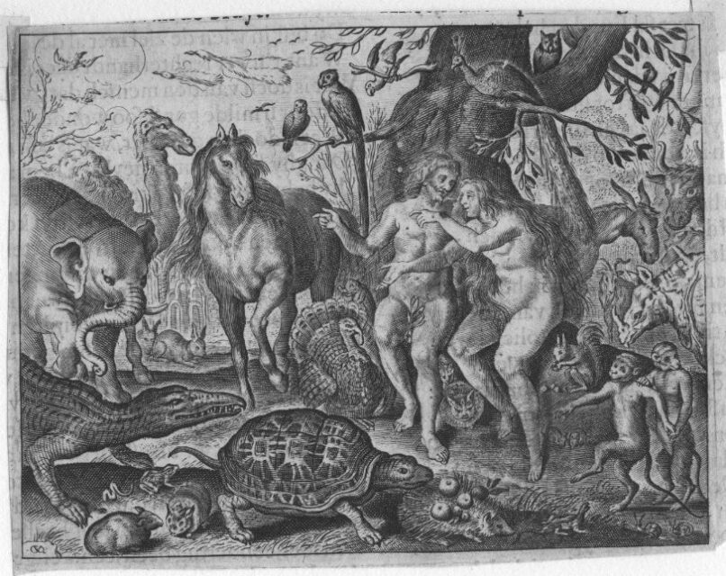 Paradise 1655