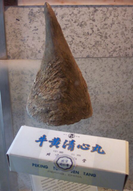 Rhino Horn