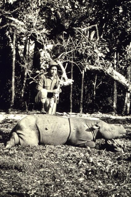 Hunter kills Sumatran Rhino