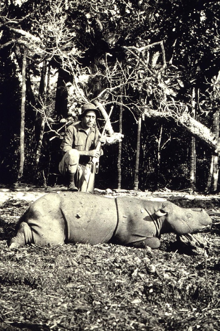 Hunter kills Sumatran Rhino