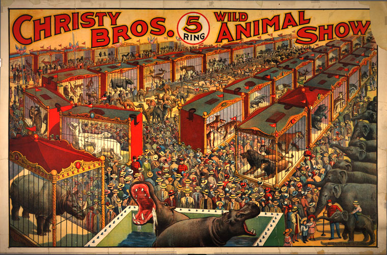 Christy Circus