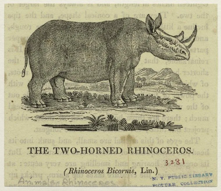 Bewick 1820