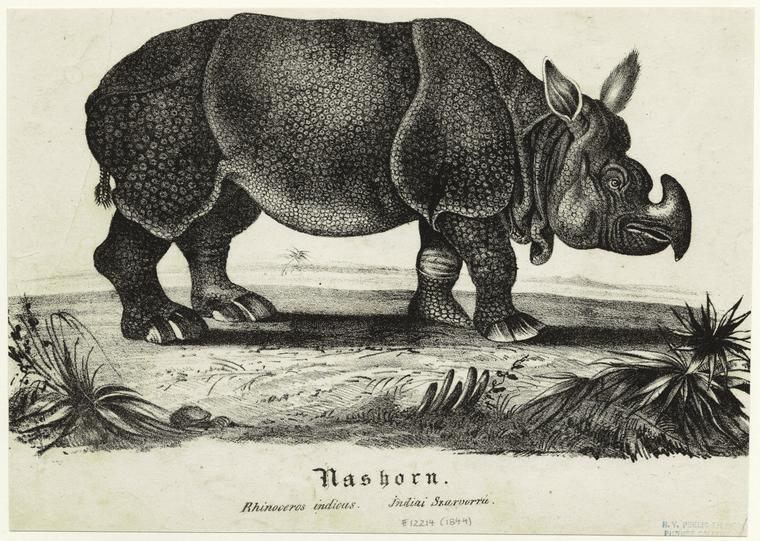 Trothan 1837